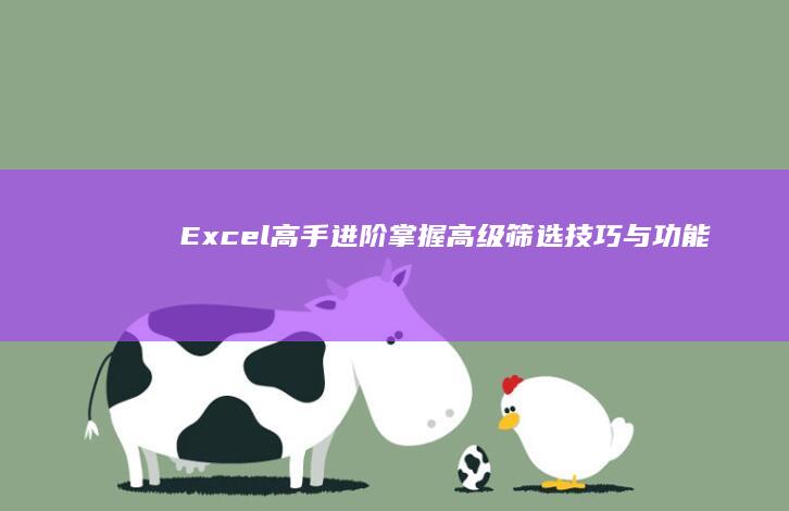 Excel高手进阶：掌握高级筛选技巧与功能